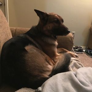 Meet your Posher, Kim